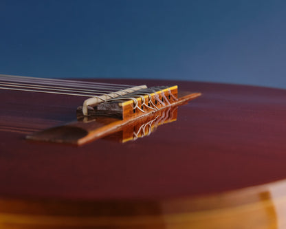 1975 Di Giorgio Signorina No. 16