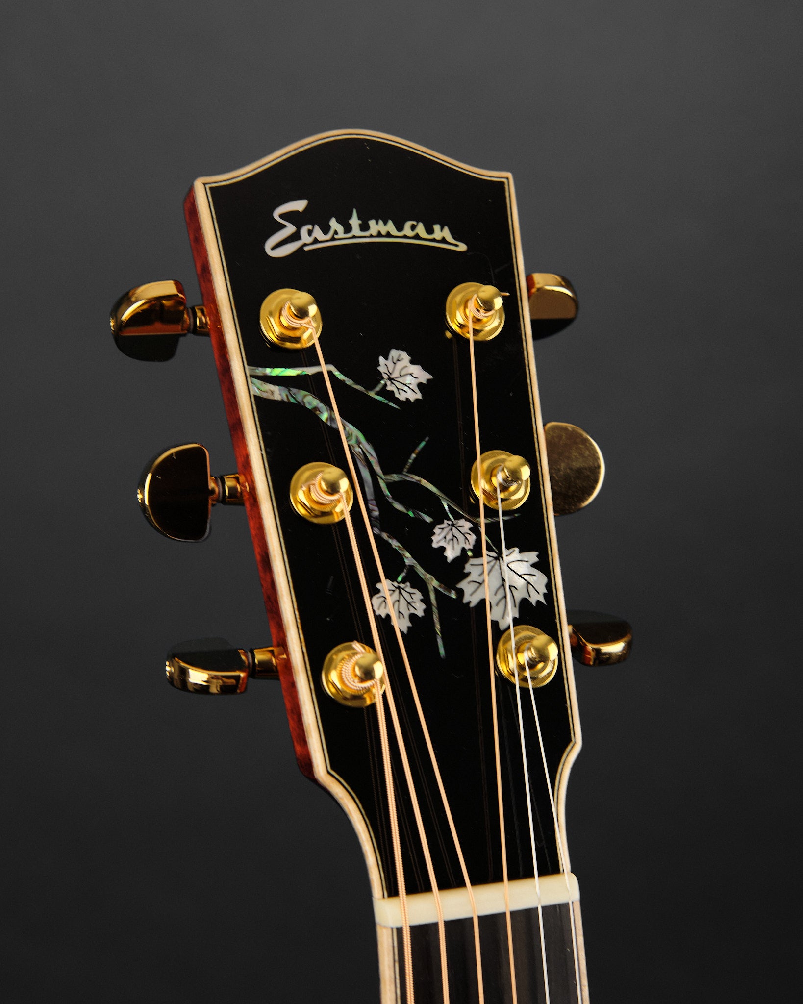 2022 Eastman AC622CE Spruce