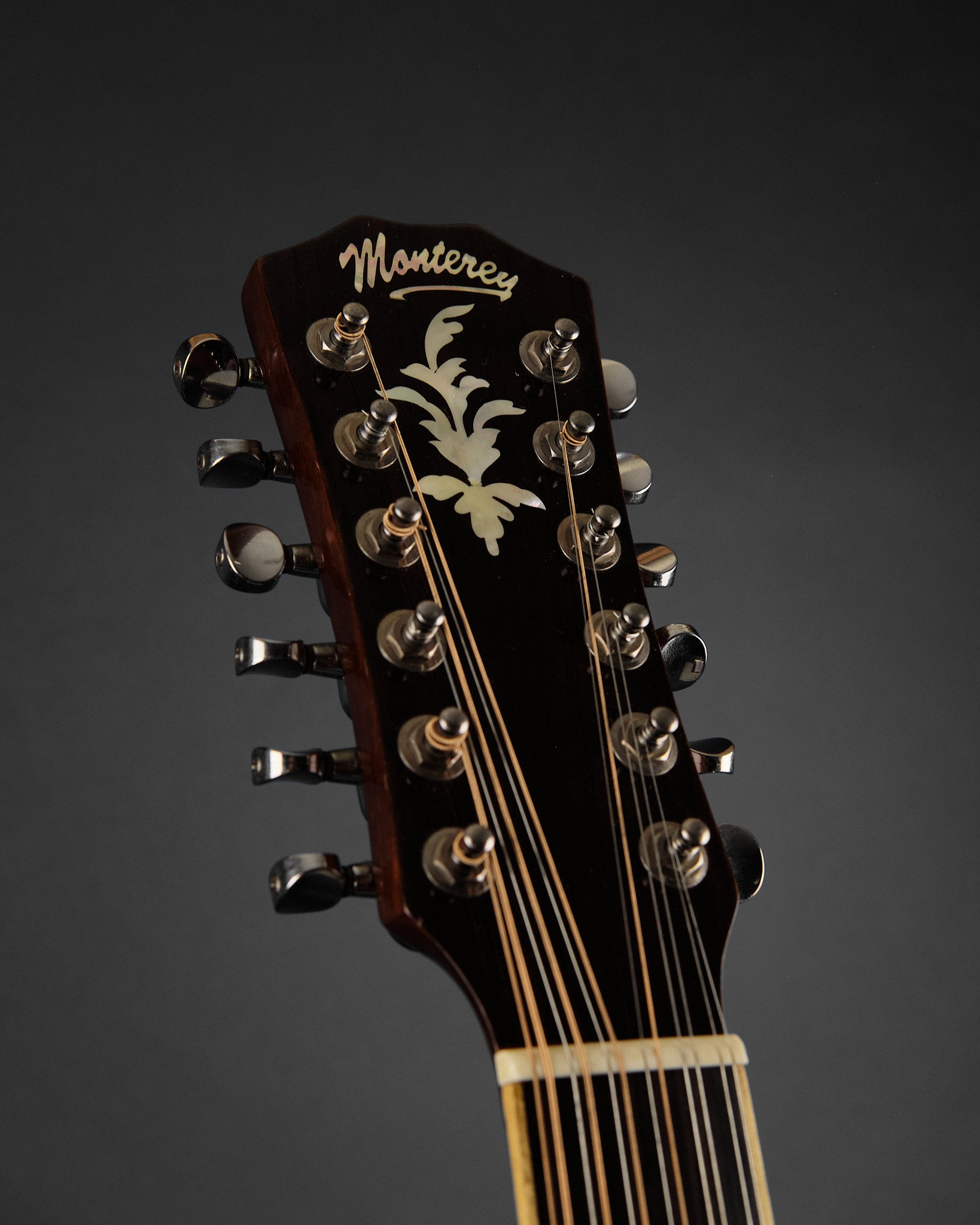 Monterey SMJ-815/12E 12-String Acoustic (Second-Hand)