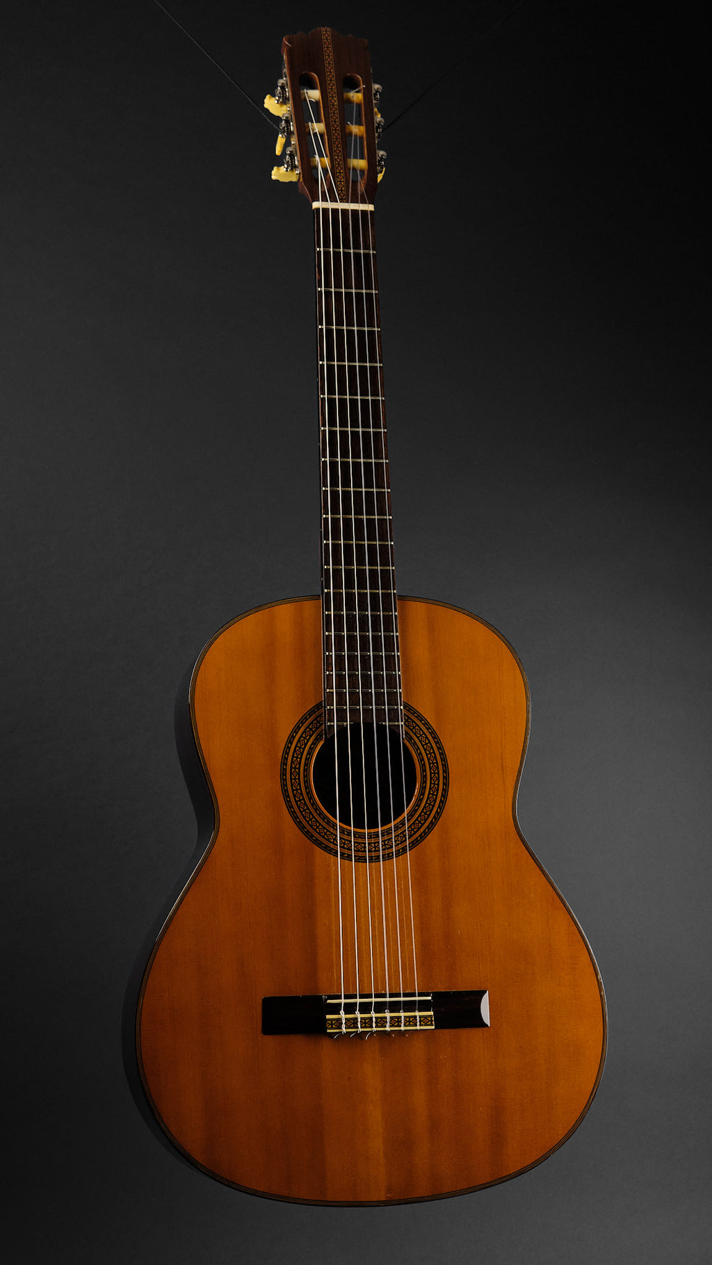 1970s Diastone by Takamine TG-003 Cedar