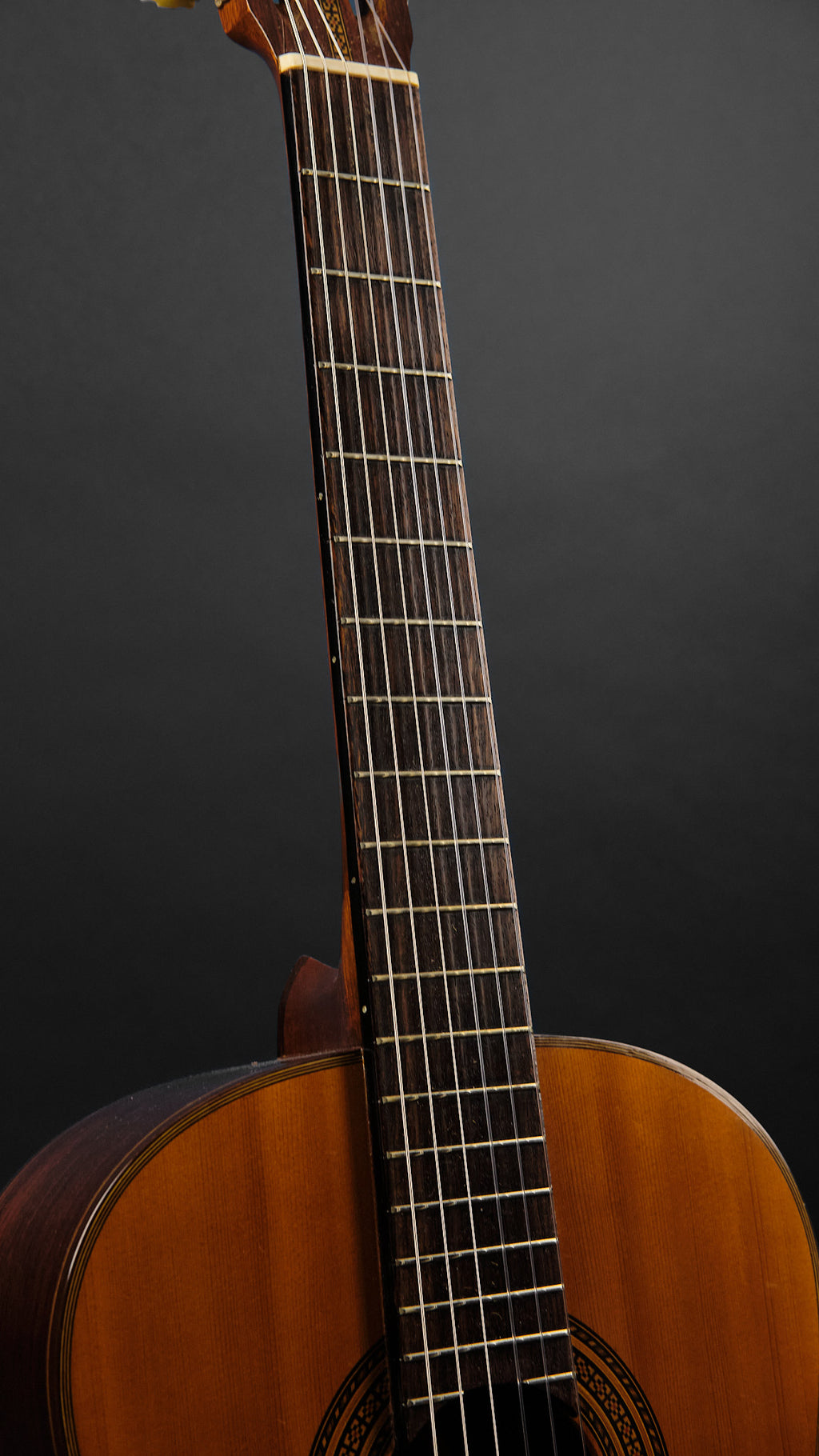 1970s Diastone by Takamine TG-003 Cedar