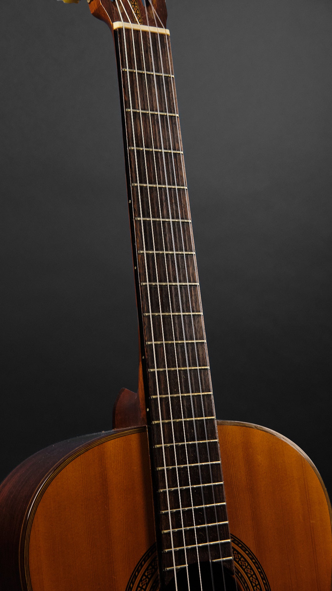 1970s Diastone by Takamine TG-003 Cedar