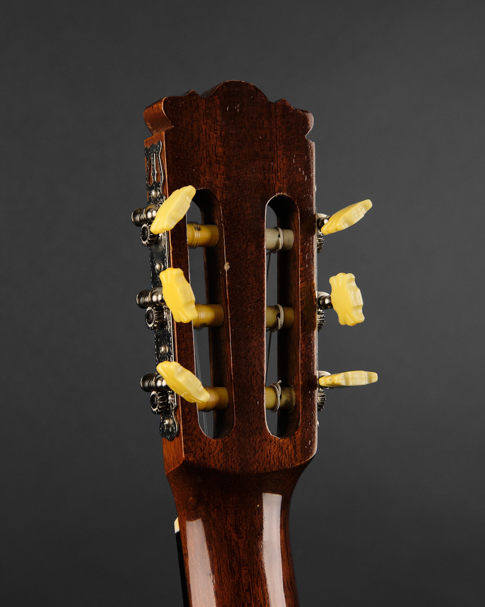 1970s Diastone by Takamine TG-003 Cedar