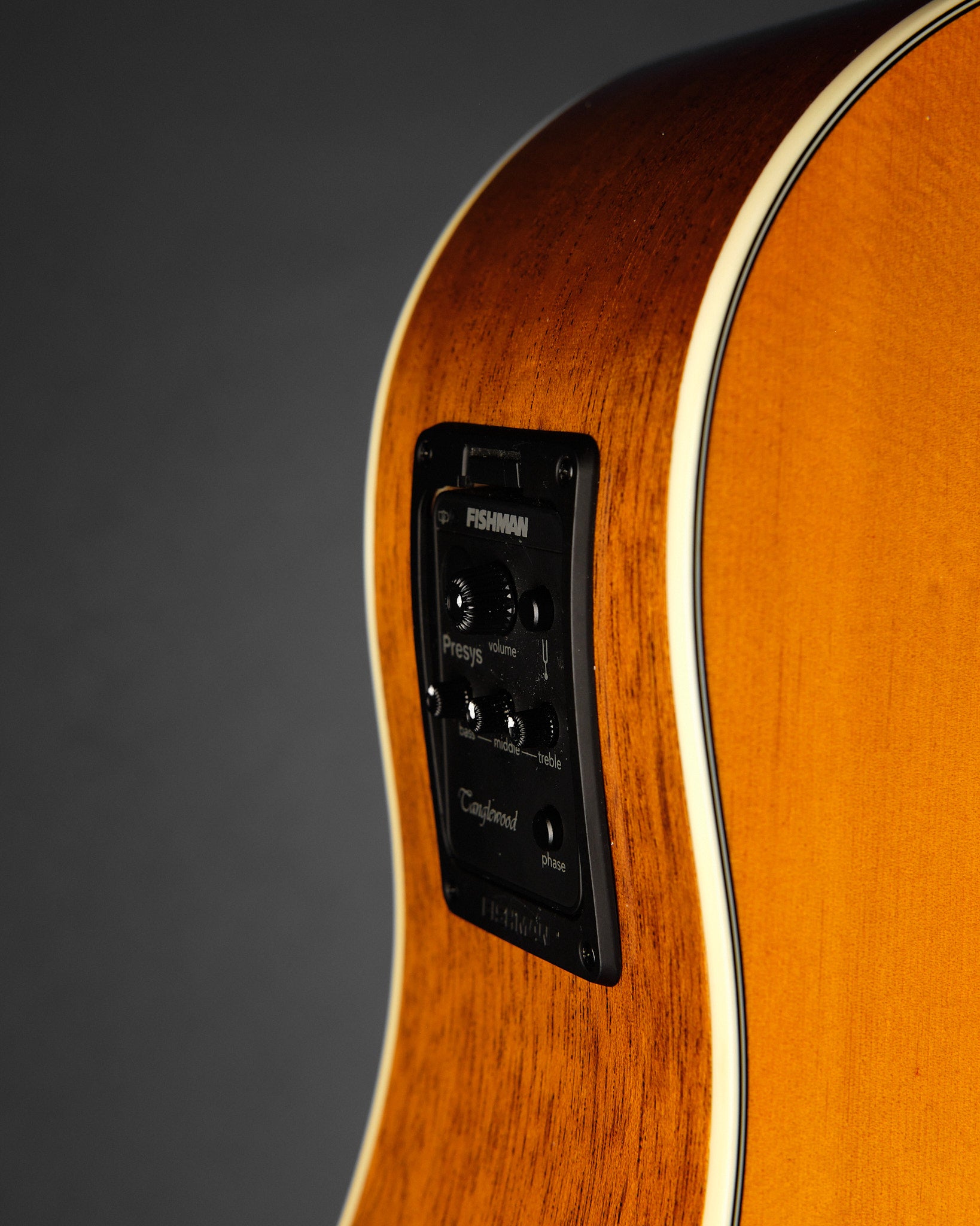 Tanglewood TW40DANE Sundance Historic Dreadnought Natural (Second-Hand)