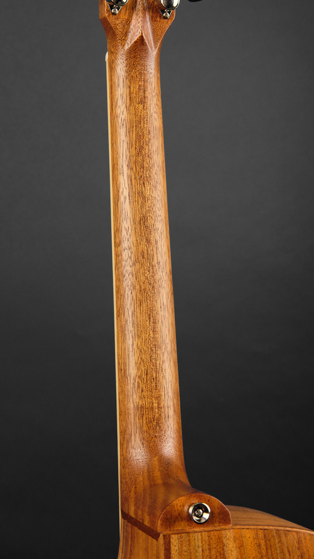 Cole Clarke SAN1EC-BLBL Studio Grand Auditorium Blackwood (Second-Hand)