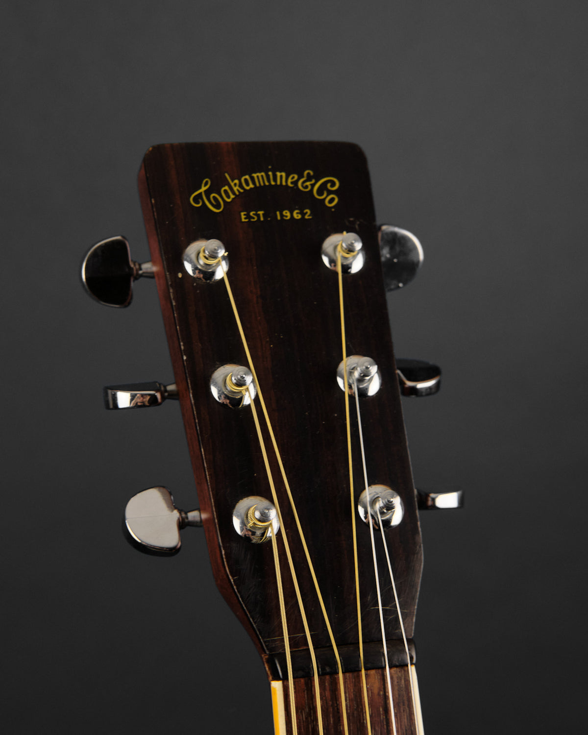 1977 Takamine F-310S Natural