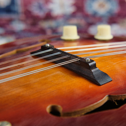 1960s Kay N-3 Electric Mandolin