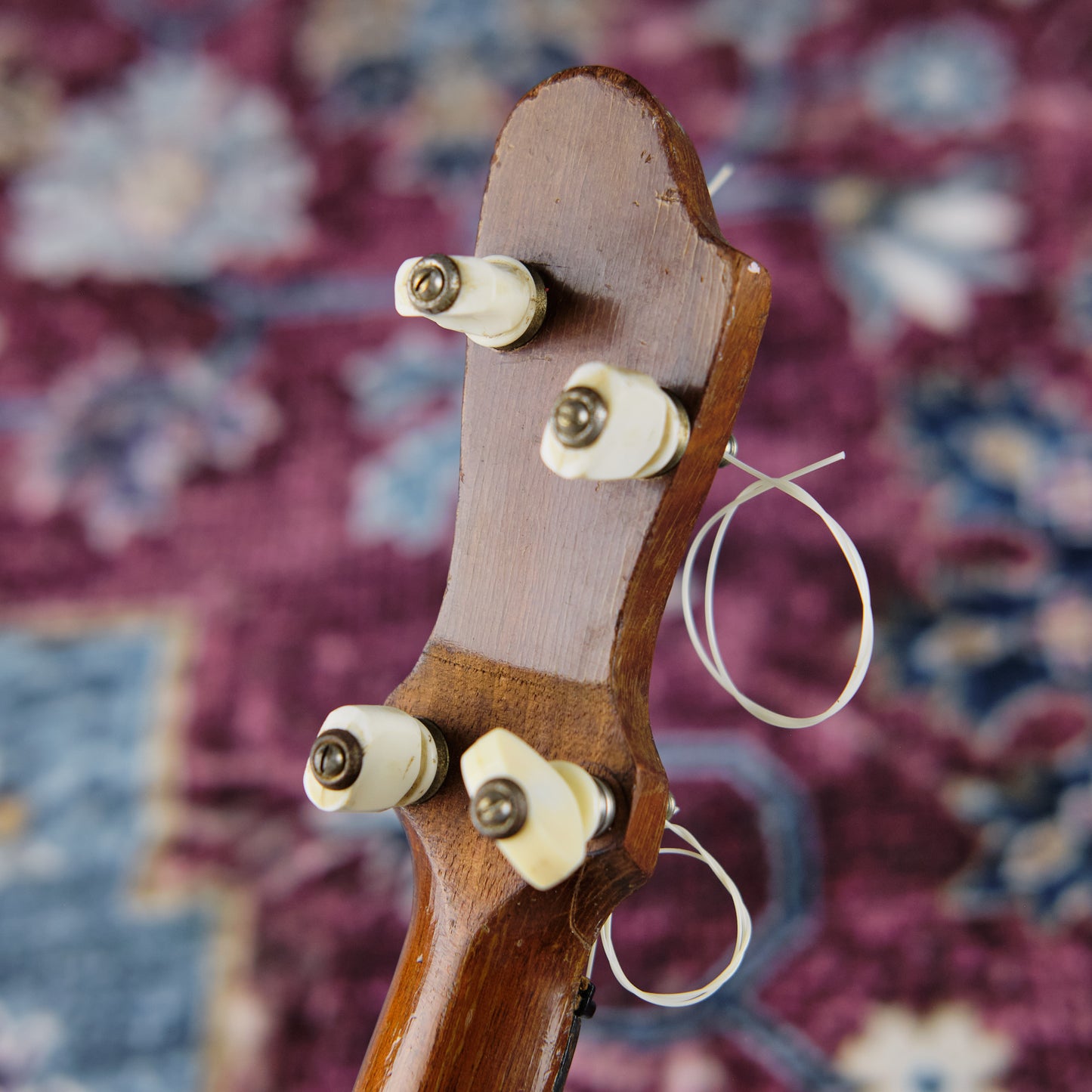 c1920s John Grey & Sons Banjolele